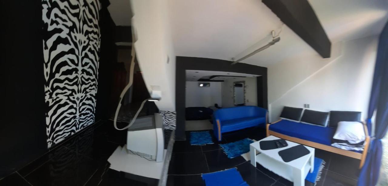 Noa.S Pansion 88 Bed and Breakfast Vrnjačka Banja Eksteriør billede